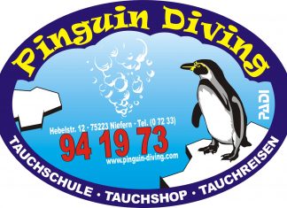 Pinguin Diving