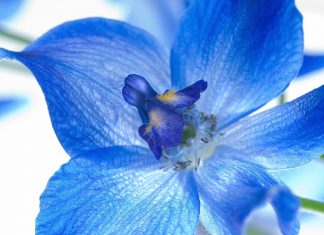 Thiede Landschaftsarchitekten