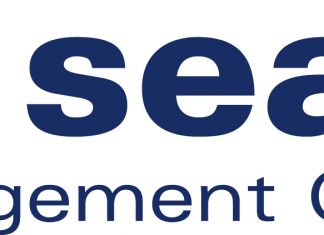 pro search Management Consulting