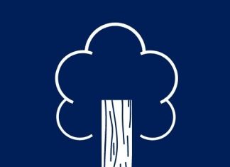 Buck Parkett- und Fußbodentechnik