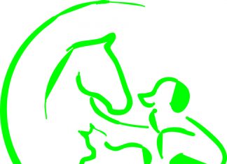 Ganzheitliche Tierheilkunde