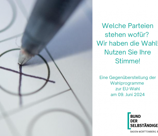 BDS-Synopse zur Europawahl 2024