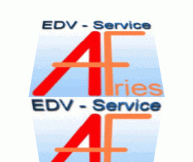 EDV-Service Fries