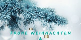 Jahresbrief 2025 – Frohe Weihnachten