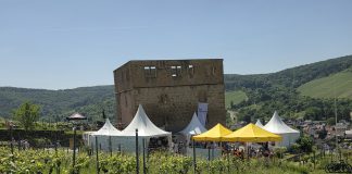 Kulinarischer Weinweg 2026 auch bei (hoch)sommerlichen Temperaturen ein Besuchermagnet