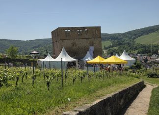 Kulinarischer Weinweg 2026 auch bei (hoch)sommerlichen Temperaturen ein Besuchermagnet