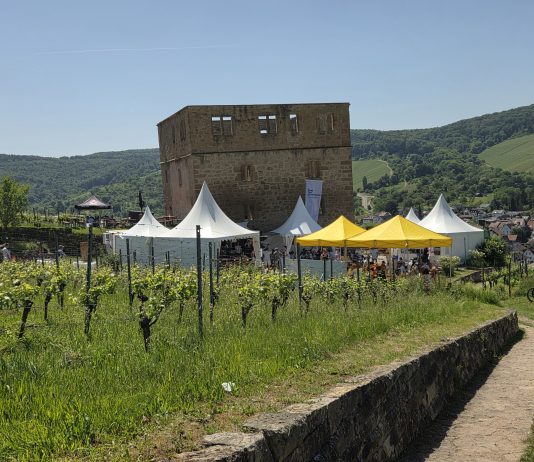 Kulinarischer Weinweg 2026 auch bei (hoch)sommerlichen Temperaturen ein Besuchermagnet