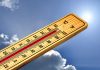 Sommerhitze im Betrieb und im Freien: Was ist Pflicht, was ist Mythos?