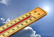 Sommerhitze im Betrieb und im Freien: Was ist Pflicht, was ist Mythos?