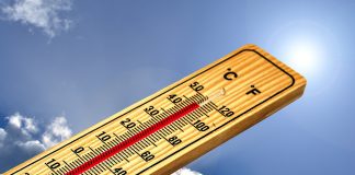 Sommerhitze im Betrieb und im Freien: Was ist Pflicht, was ist Mythos?