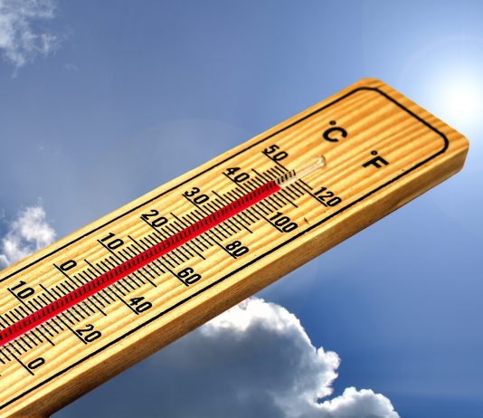 Sommerhitze im Betrieb und im Freien: Was ist Pflicht, was ist Mythos?